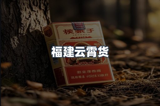 福建云霄货